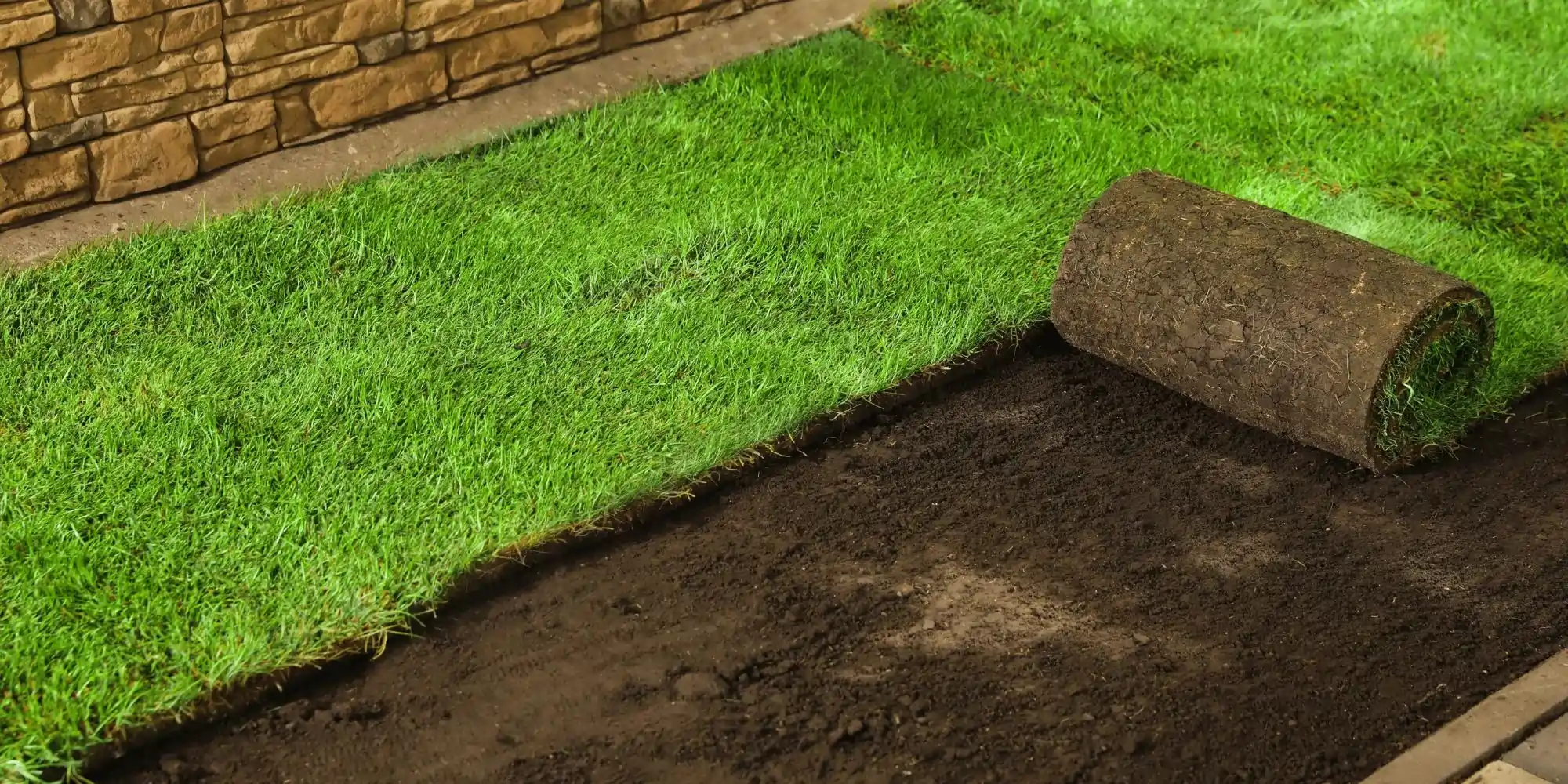 Landscaping Services in Delhi NCR